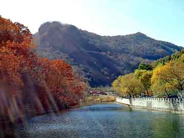 新澳天天开奖资料大全旅游团，中控考勤机